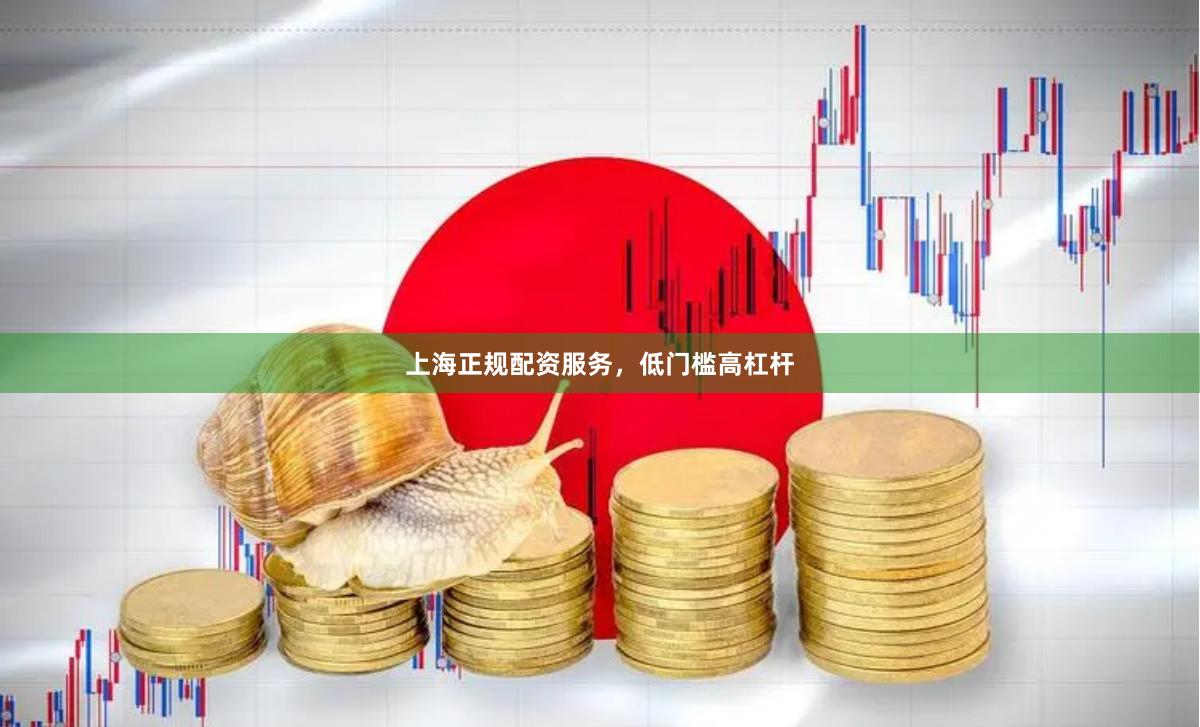 上海正规配资服务，低门槛高杠杆