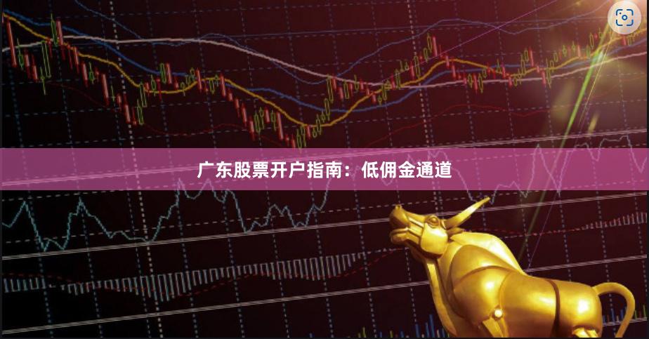广东股票开户指南：低佣金通道